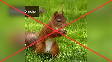 Beitragsbild im Seitenverhältnis 1:1: schlechte Wahl