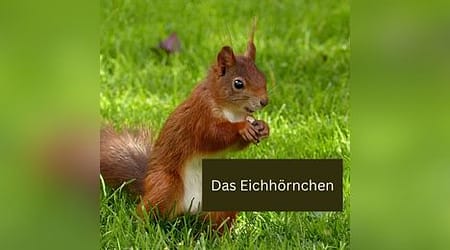 Beitragsbild im Seitenverhältnis 1:1: gute Wahl