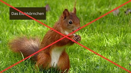 Beitragsbild im Seitenverhältnis 2:1: schlechte Wahl