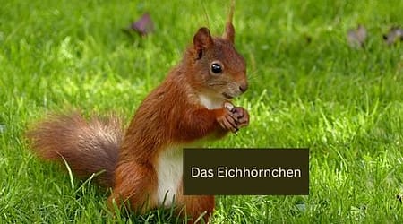 Beitragsbild im Seitenverhältnis 2:1: gute Wahl