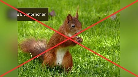 Beitragsbild im Seitenverhältnis 4:3:schlechte Wahl
