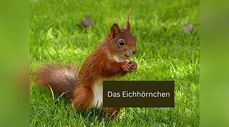 Beitragsbild im Seitenverhältnis 4:3: gute Wahl