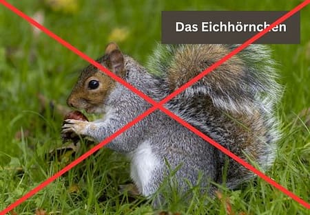 Titelbild in der Desktopansicht: schlechte Wahl