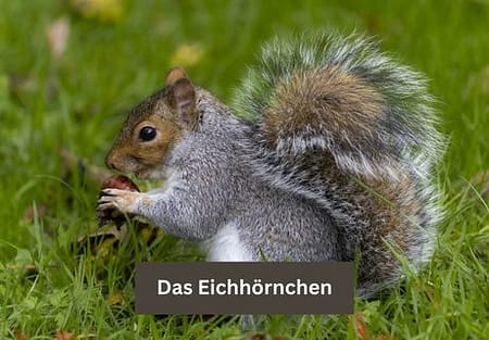 Titelbild in der Desktopansicht: gute Wahl