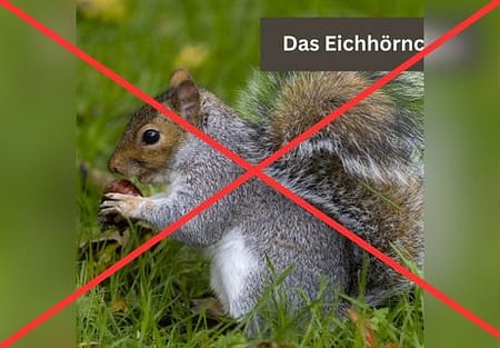 Titelbild in der mobilen Ansicht: schlechte Wahl