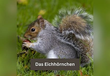 Titelbild in der mobilen Ansicht: gute Wahl